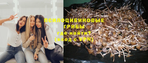 mix Баксан