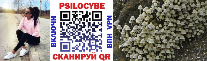 Купить где  Бутурлиновка  Псилоцибиновые грибы ЛСД 